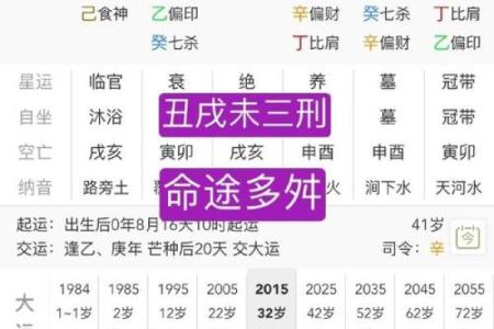 戊戌八字解析：如何通过命理解读你的未来运势