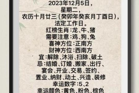每周生肖运程运势解析，助你精准规划一周生活