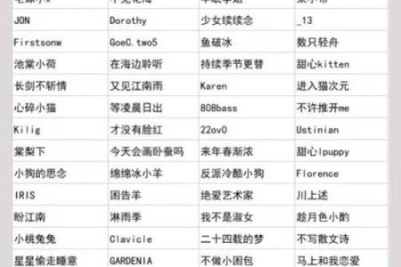 打造专属含名字网名的实用方法