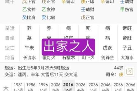 八字中没有印，如何通过调理命理找到方向？