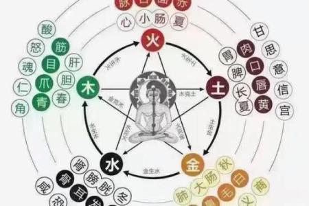 隔五行是什么？揭秘这个说法的背后含义和应用