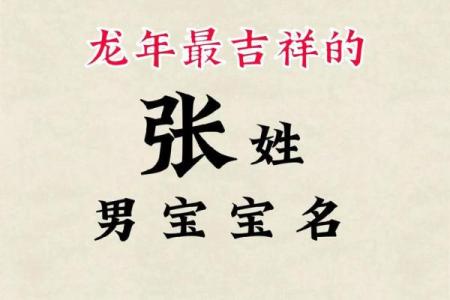 张姓男孩起名技巧与推荐：名字寓意与音韵搭配分析
