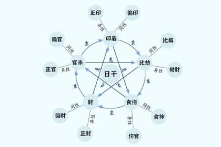 阳命在命理学中的深刻意义