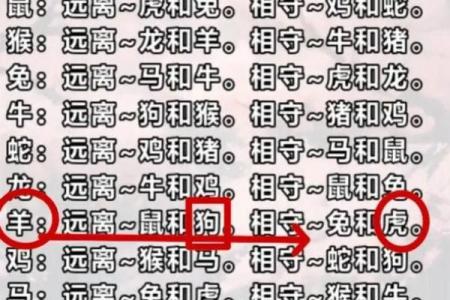 属狗男与属猴女的相处模式探讨