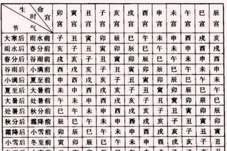 揭秘生辰八字中的坐命星：你的命运从这里开始！