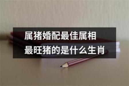 属牛男与属猪女在感情中的契合度