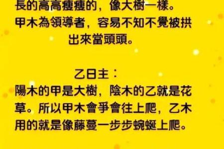 八字命理：女性如何克服事业中的困难？