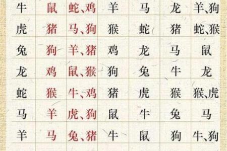 生肖运势详解：哪些生肖运气最好