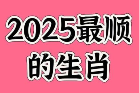 生肖运势：事业进展与晋升机会