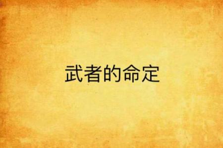 文武命的概念与命理学中的独特地位