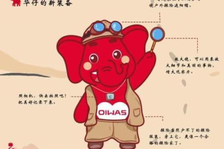 给自己取个名字：探索个人身份的独特之旅