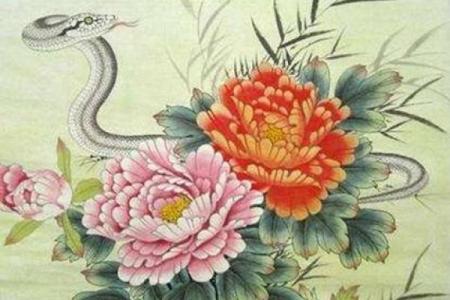 属蛇女和属马男的相处之道与感情走向