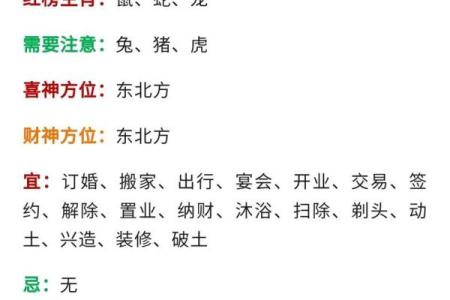 十二生肖运程预测指南