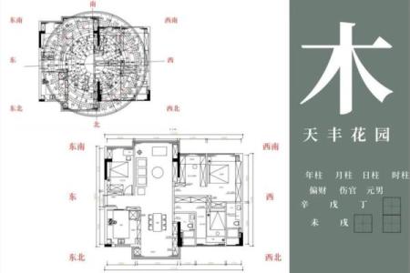 揭秘东南角五行布局，打造更有能量的家居环境