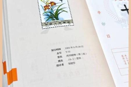 万年历植根时光，岁月栽种传奇