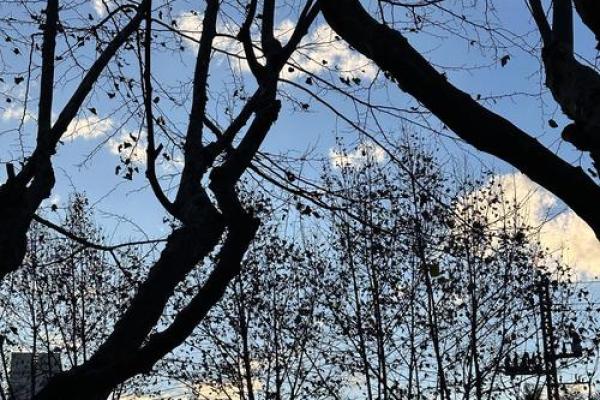 羽涵:温文尔雅与坚韧力量的完美融合 羽涵:温文尔雅与坚韧力量的完美融合