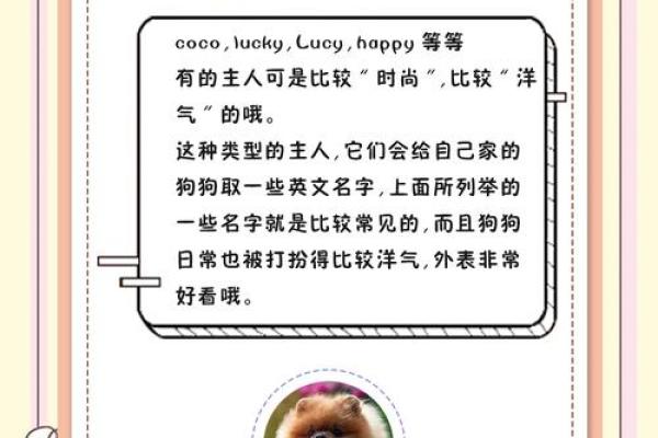 为你的小狗狗起个有趣又可爱的名字吧
