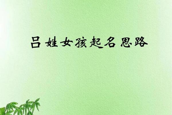 吕姓男孩女孩起名建议与最佳选择