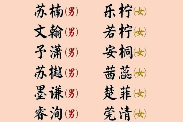 兔宝宝名字大全 打造与众不同的可爱名字