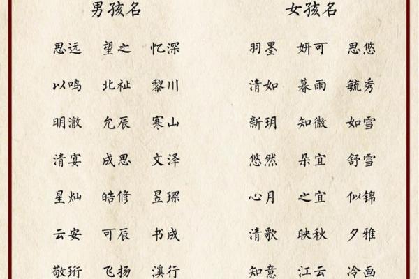 兔宝宝名字大全 打造与众不同的可爱名字