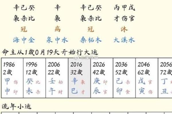 食神旺八字解析:如何通过八字食神旺提升运势与生活质量 食神旺八字解析:如何通过八字食神旺提升运势与生活质量