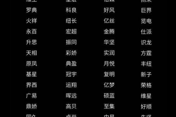 旅游公司起名大全：创意与风格的完美结合