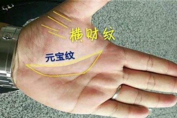 风水学园人物背后的命理玄机