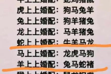 属狗男与属猪女能否走到最后？
