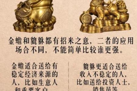 招财蛙风水如何助你财运亨通