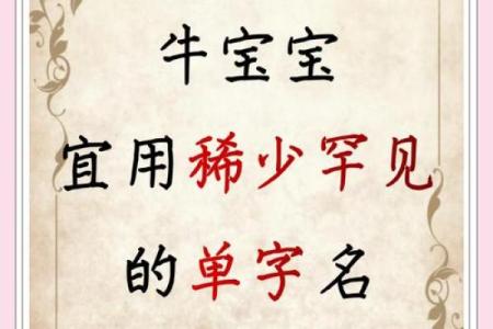 牛宝宝起名技巧与大全