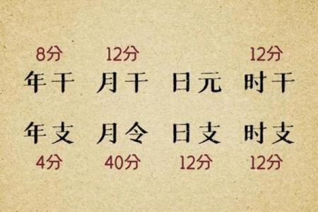 八字看换工作时机，如何根据命理做出明智决策