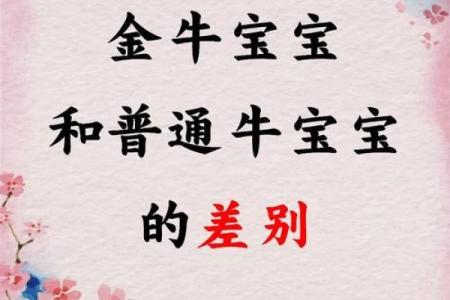 牛宝宝名字的文化寓意解析，带来好运的选择
