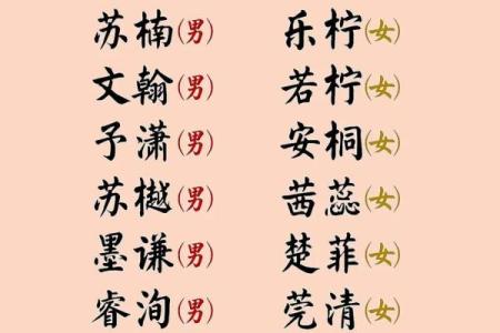 兔宝宝名字大全 打造与众不同的可爱名字