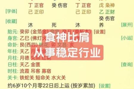 食神旺八字解析：如何通过八字食神旺提升运势与生活质量