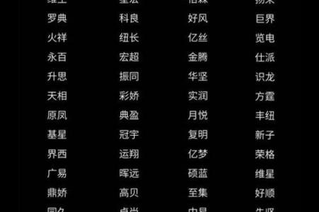 旅游公司起名大全：创意与风格的完美结合