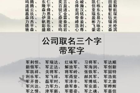 如何找到最适合店铺命名的公司