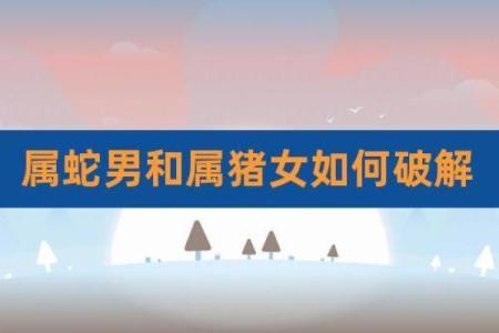 属猴女与属蛇男的婚姻生活适合吗