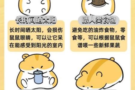本命年鼠女应注意的身体健康问题