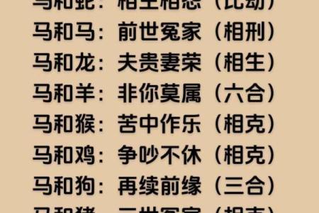 本命年马女适合做哪些改变
