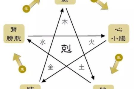 五行预测健康：从五行角度分析常见疾病的发生原因