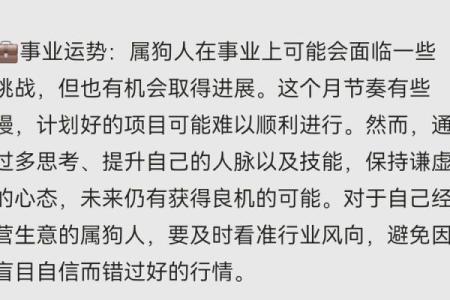 属狗人运势起伏：如何应对挑战与机遇