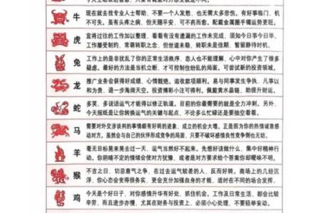 本命年马女如何保持良好健康