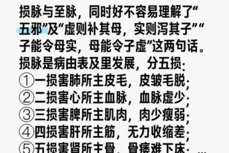 五行合作的智慧：如何通过五行相生相克提升团队协作效率