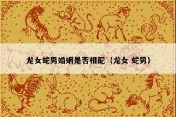 揭秘男蛇与女马的婚姻:是否能走得更远 揭秘男蛇与女马的婚姻:是否能走得更远
