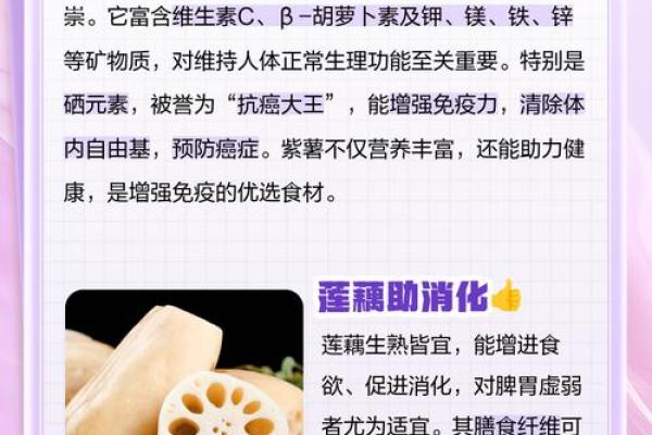 养命之源是什么?探索身体真正需要的营养 养命之源是什么?探索身体真正需要的营养