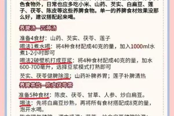 养命之源是什么?探索身体真正需要的营养 养命之源是什么?探索身体真正需要的营养