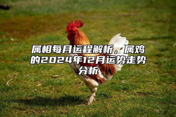 生肖鸡今日运程:感情运势平稳,事业有望突破 生肖鸡今日运程:感情运势平稳,事业有望突破