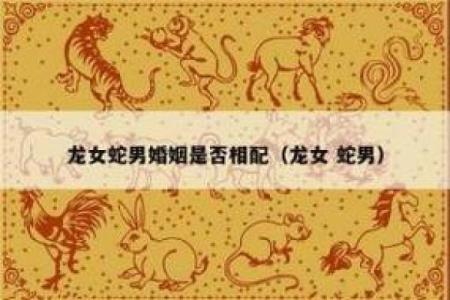 揭秘男蛇与女马的婚姻：是否能走得更远