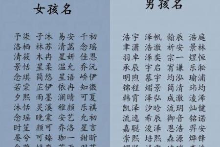 男宝宝名字大全：独特又有文化底蕴的选择