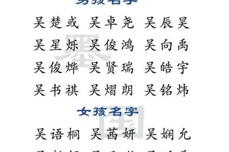 探索姓名学：起名字典如何帮助你挑选完美名字